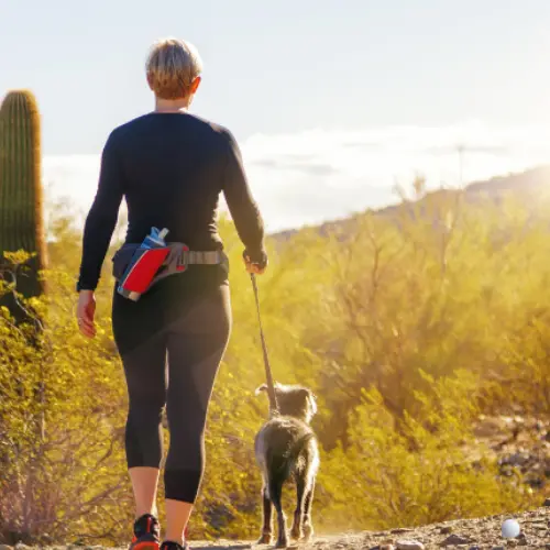 dog is going for walk