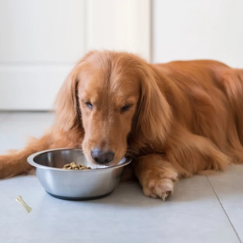 eating food