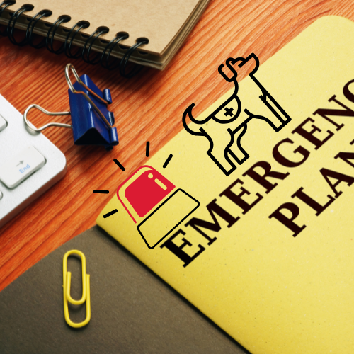 prepare emergency for dog