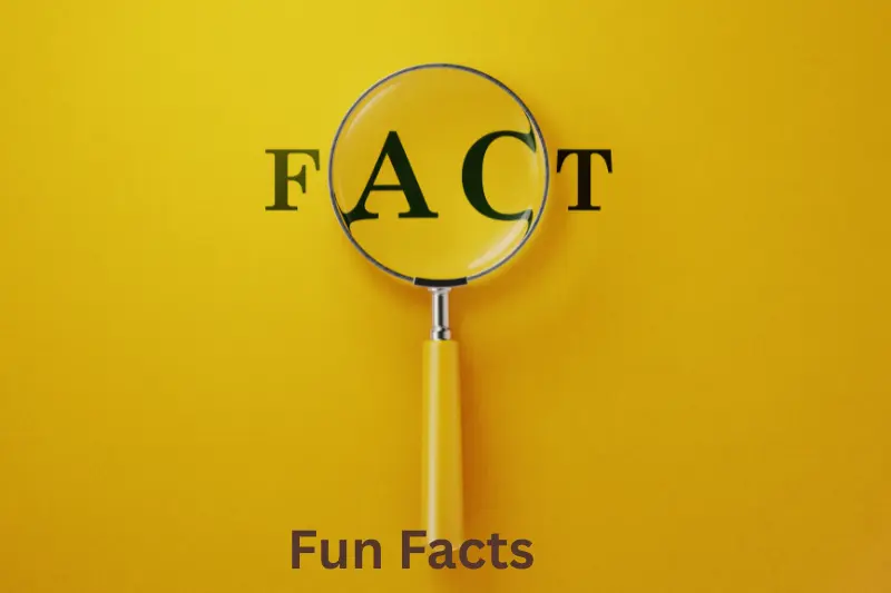 Fun Facts